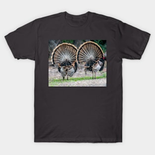 My Fanned Tail Feathers Are Bigger Than Yours T-Shirt